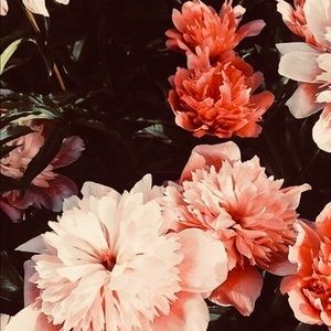 Meet your Posher, Adriana